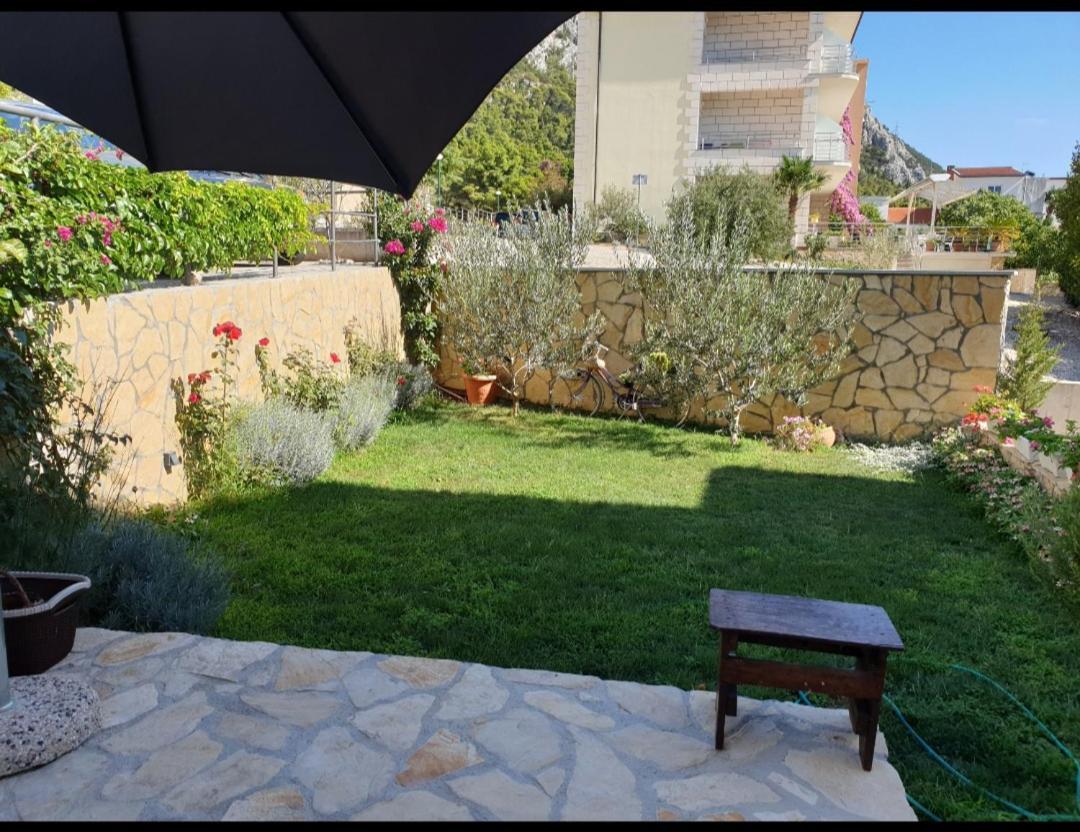 Vila Damir Gradac  Exterior foto